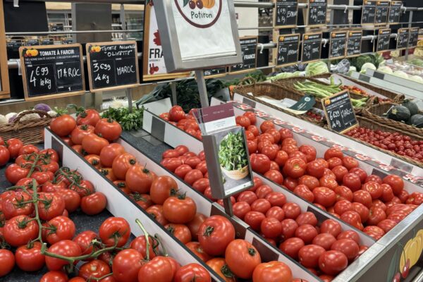 Cerise et Potiron tassin Tassin magasin