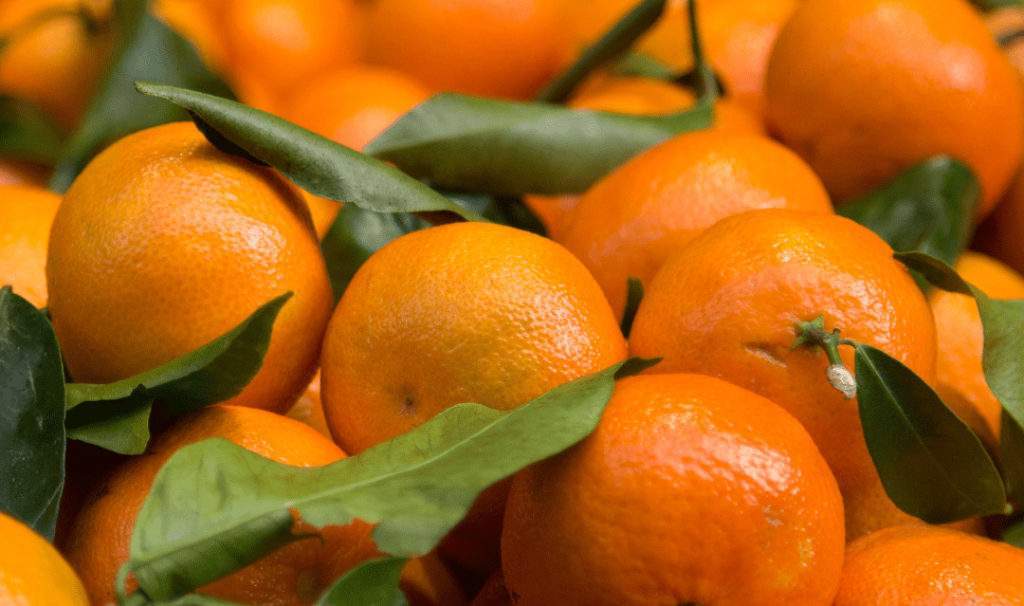 clementine