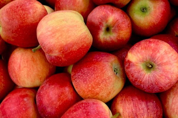 POMME POMME