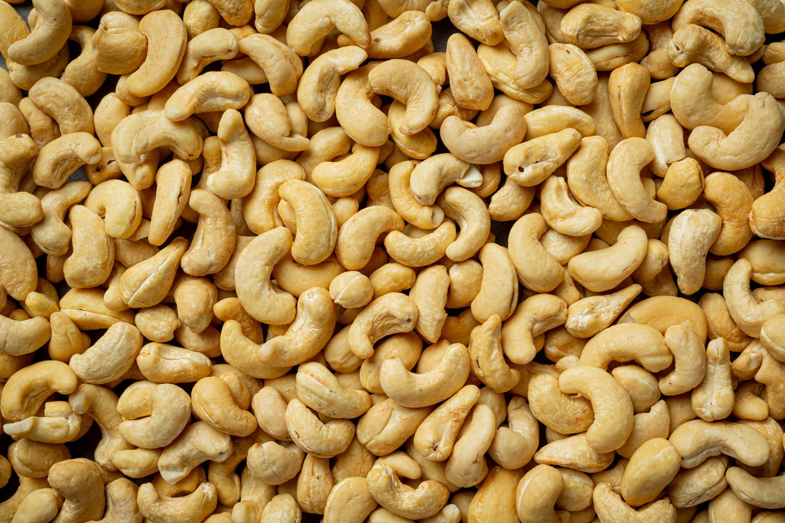 Noix de cajou