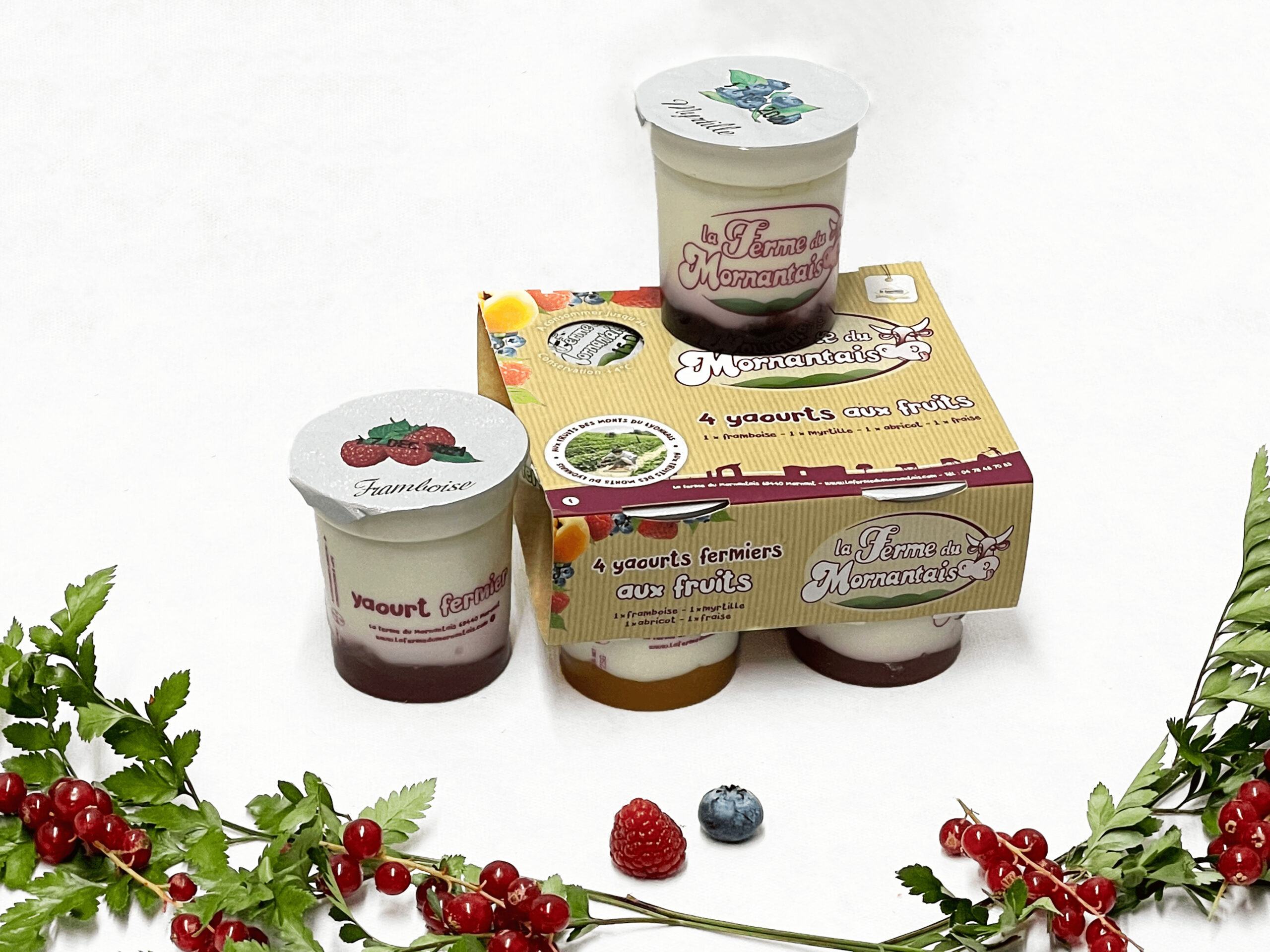 yaourt ferme mornantais aux fruits