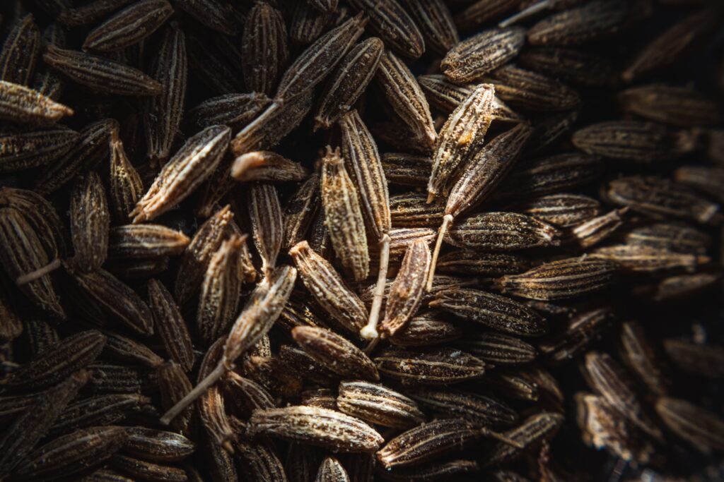 cumin en graines épices