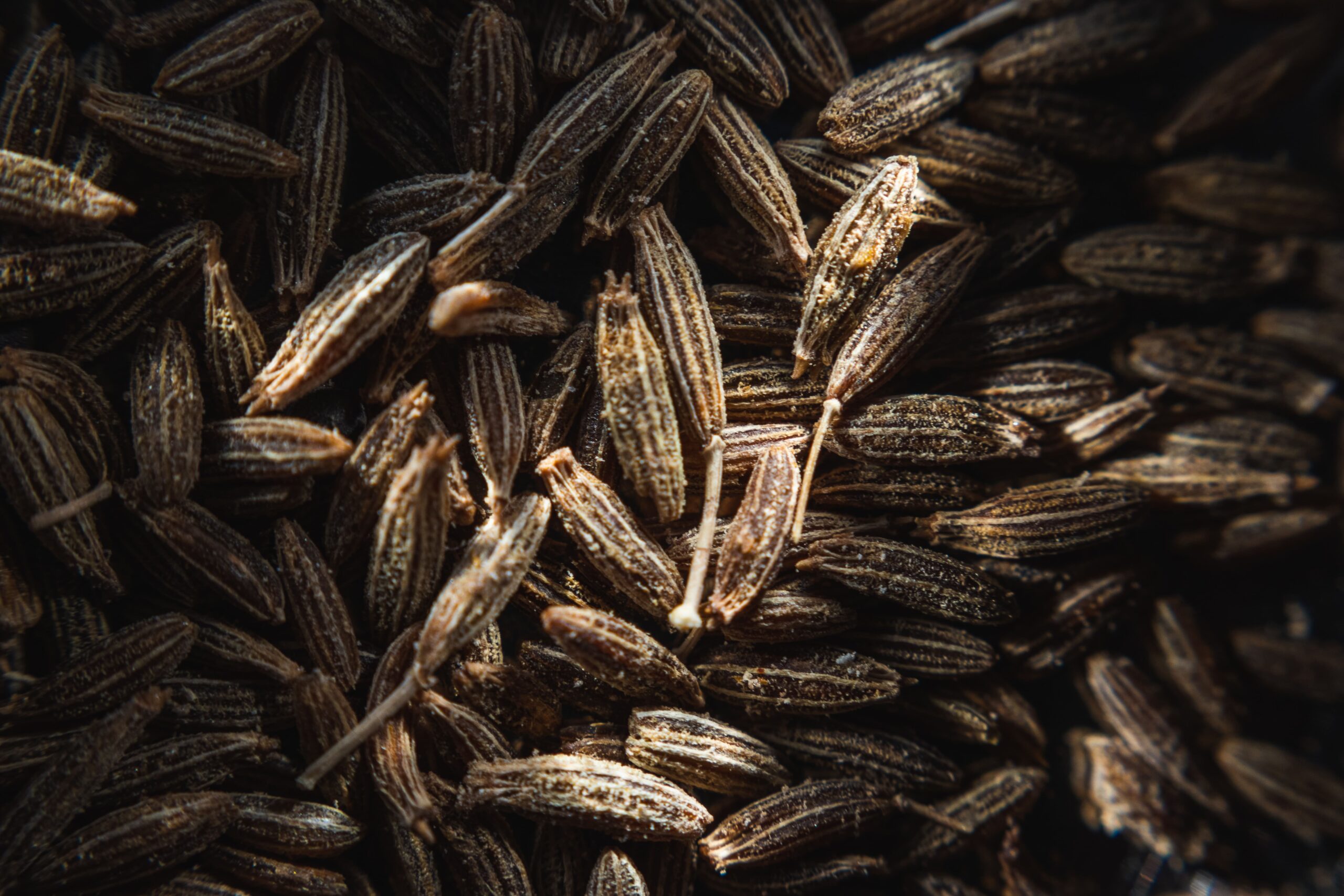 cumin en graines épices