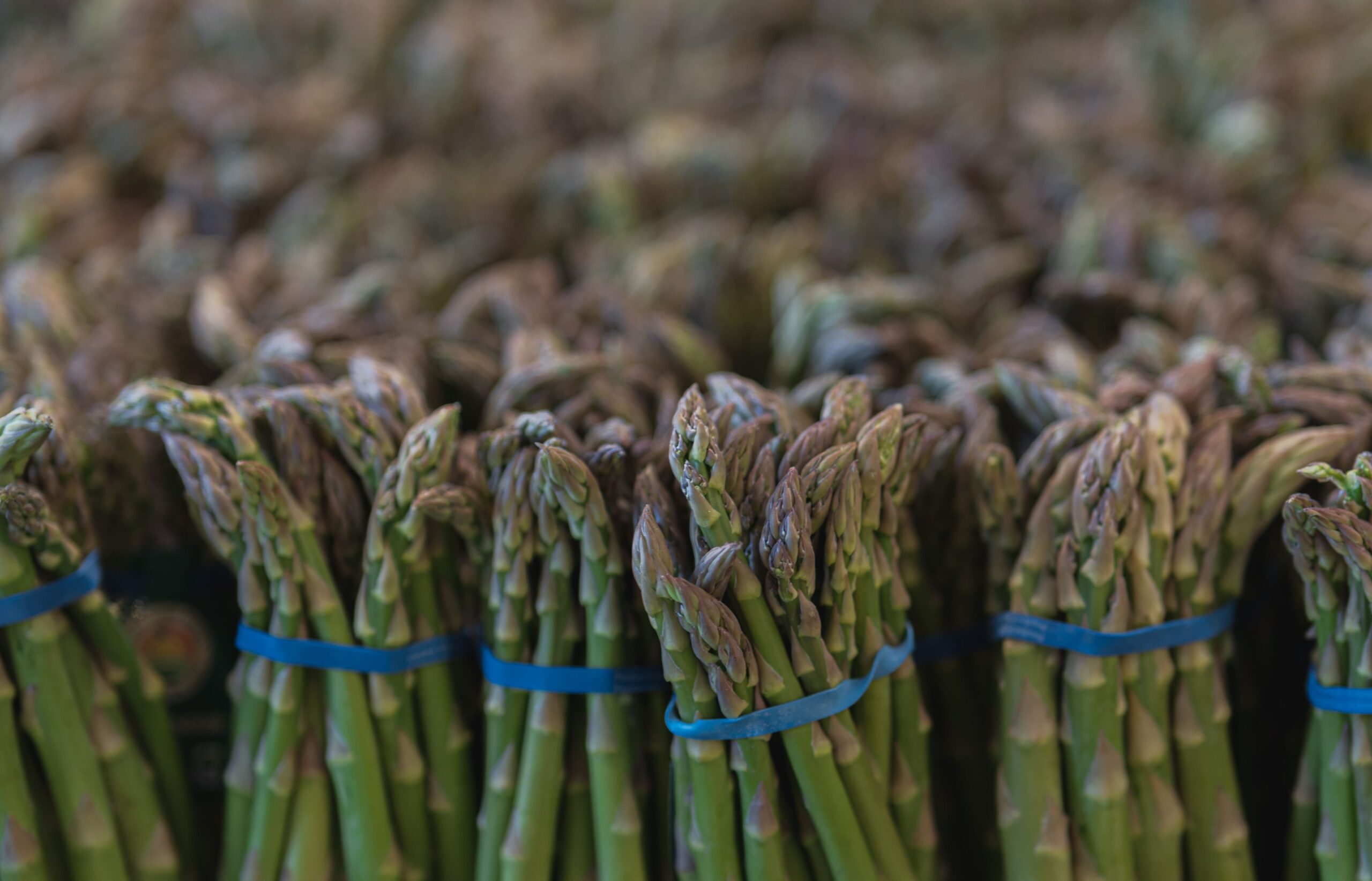 asperge cerise et potiron