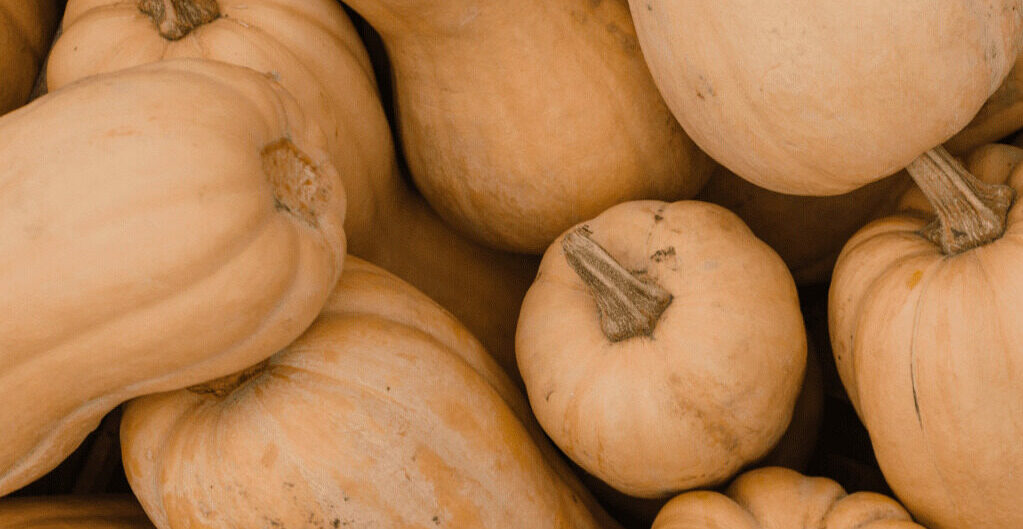 butternut