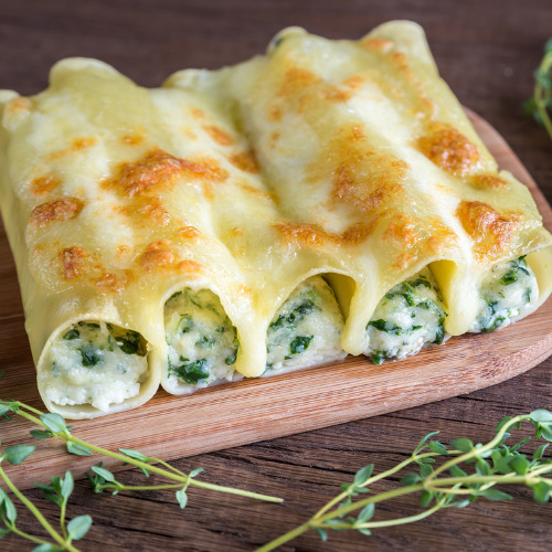 recette de cannellonis épinard ricotta parmesan