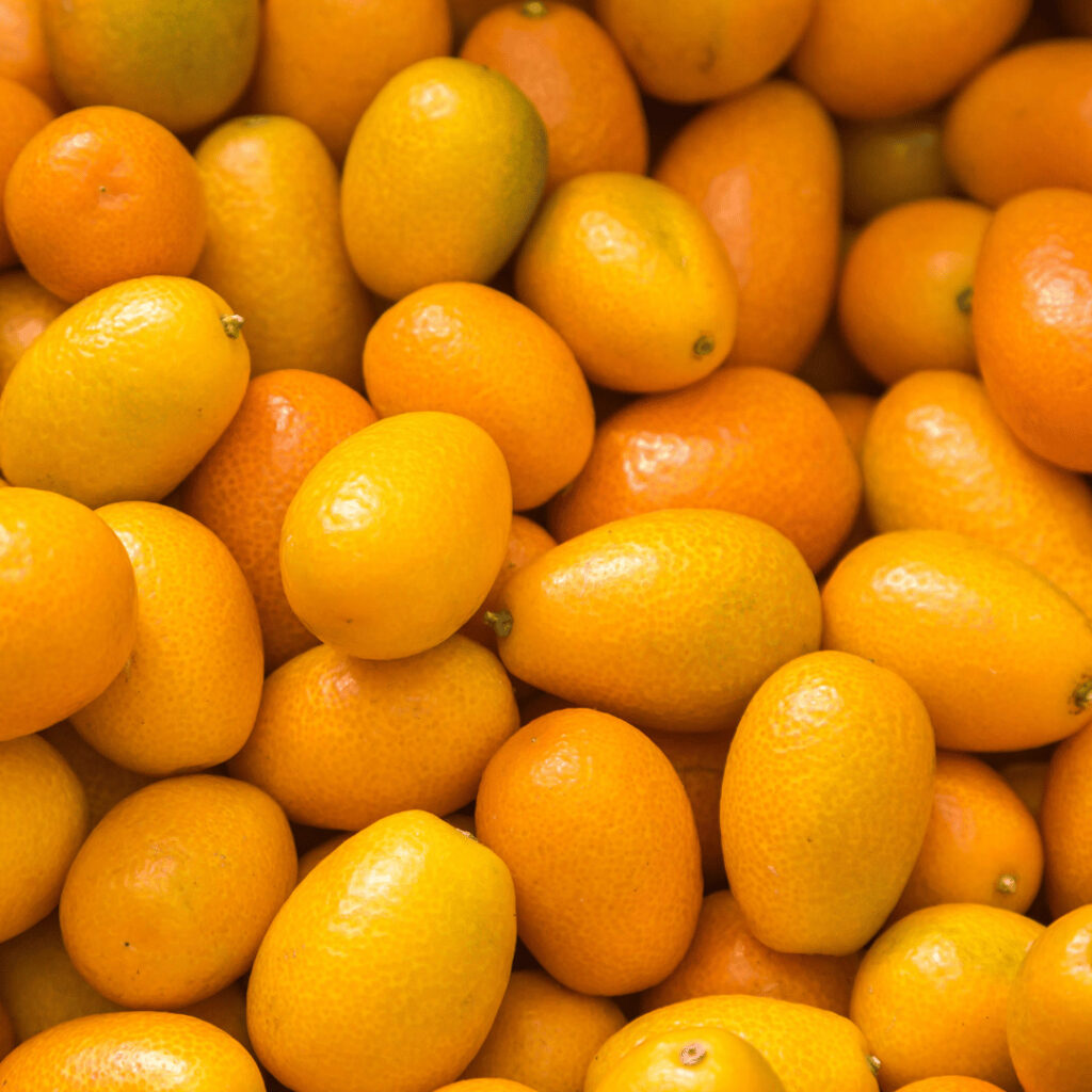 kumquat cerise et potiron