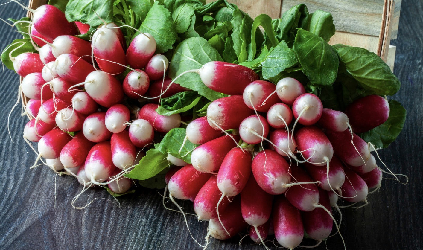 Ne jetez plus les fanes de radis : 3 idées simples pour les cuisiner